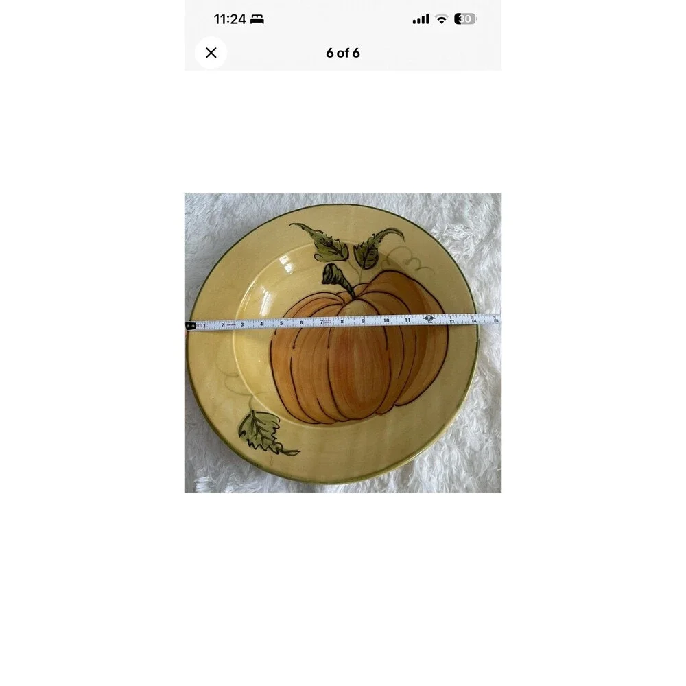 Williams Sonoma Pumpkin Large Ceramic Serving/Pasta Bowl Fall Thanksgiving 14”